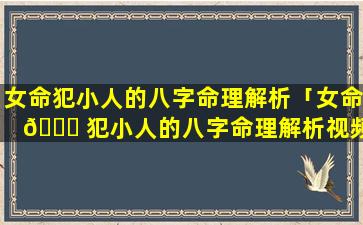 女命犯小人的八字命理解析「女命 🐅 犯小人的八字命理解析视频」